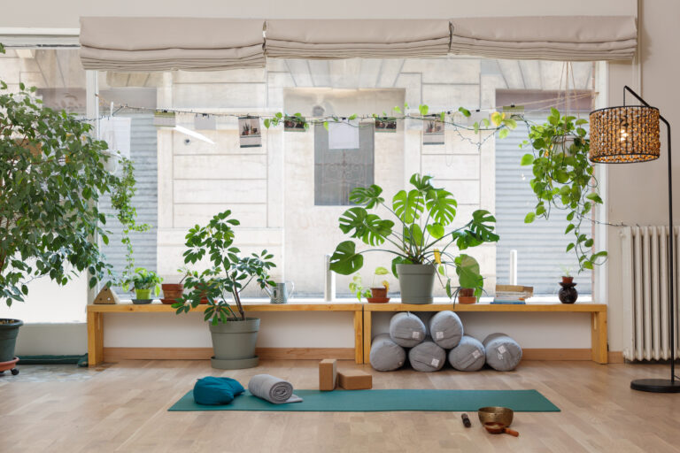 La via del respiro yoga milano villapizzone